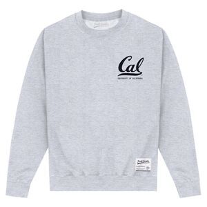 UC Berkeley Unisex Adult Cal Sweatshirt / Heather Grey